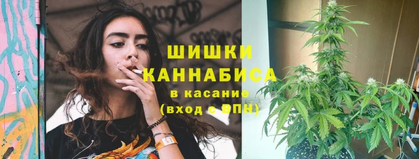 метадон Лагань