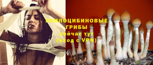 бутират Галич