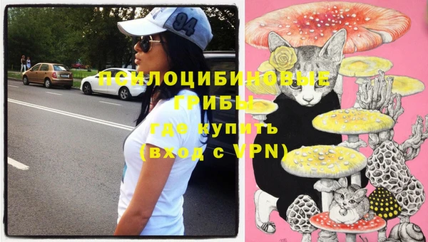 Альфа ПВП Липки
