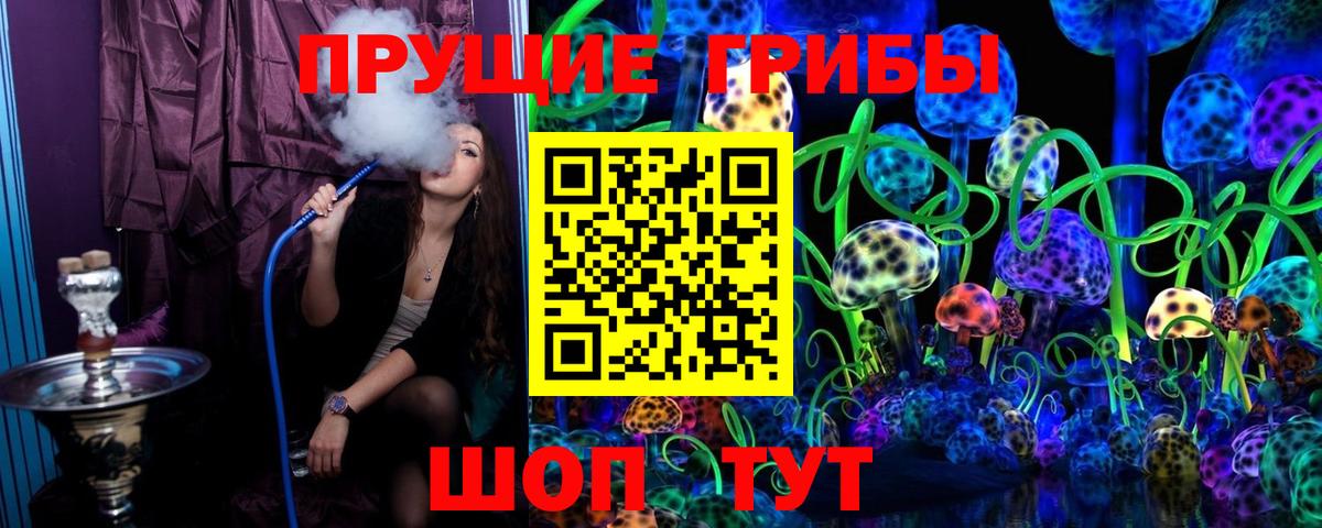 Псилоцибиновые грибы Cubensis  Вход с VPN  Кудымкар 