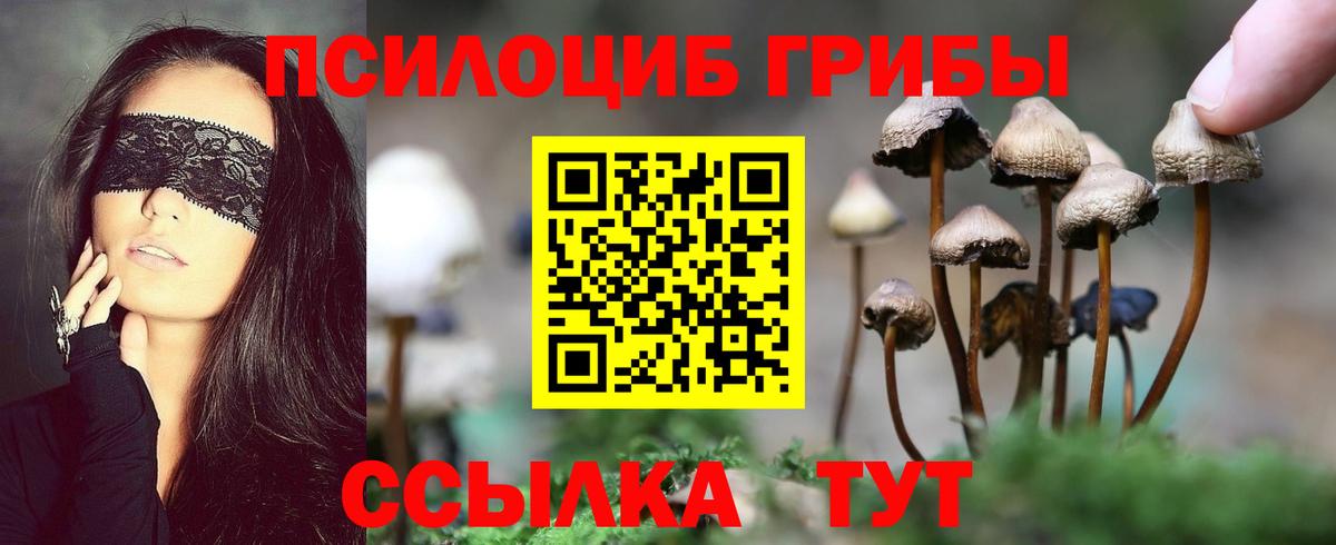 Псилоцибиновые грибы прущие грибы Кудымкар